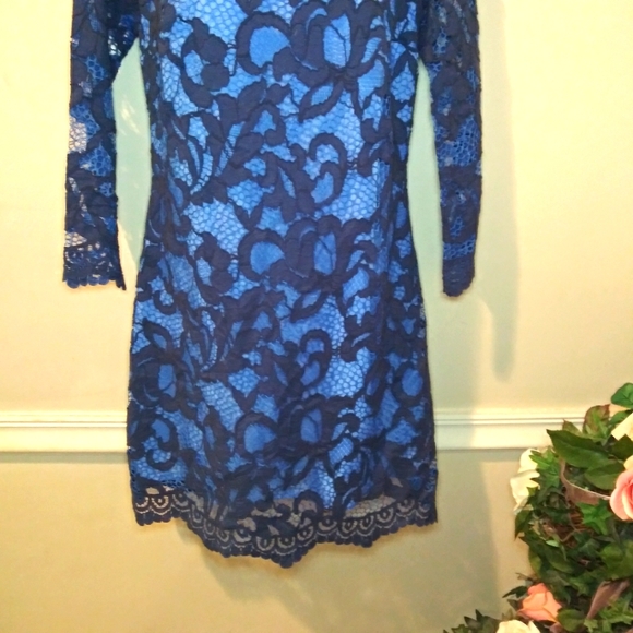 Lilly Pulitzer Aaliyah Two-Tone Blue Romantic Corded Lace Dress - Picture 5 of 14